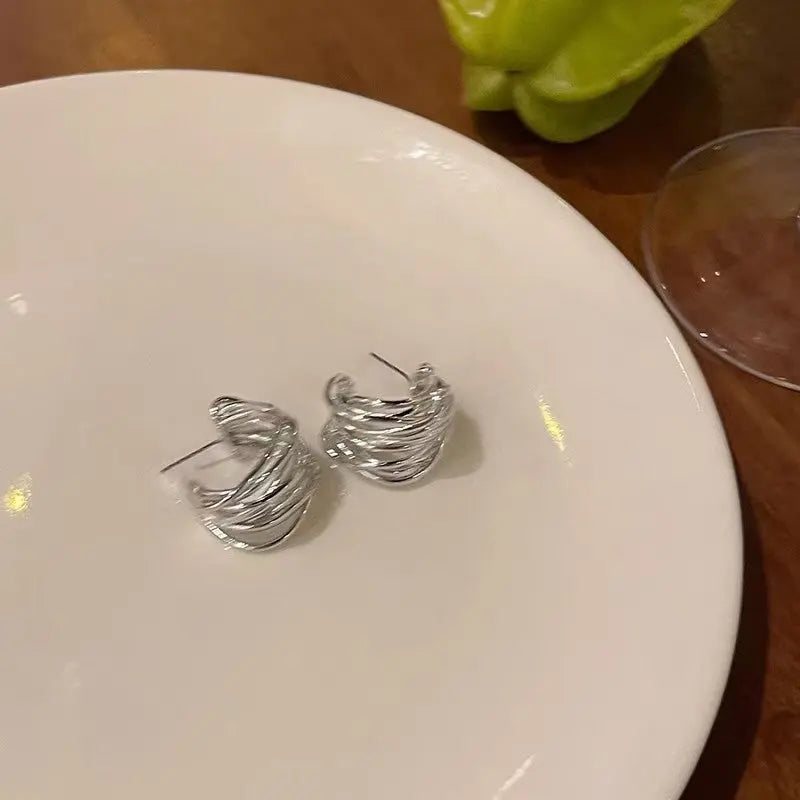 S925 Sliper Needle European and American Exaggerated Plain Hoop Earrings 我的商店